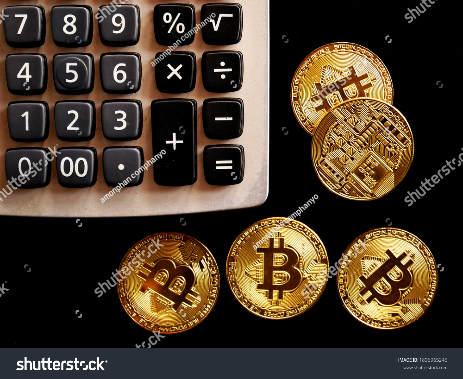 Bò