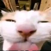Má