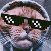 Vu