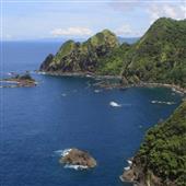 Dự