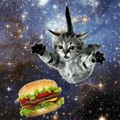Đô