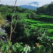 Kế