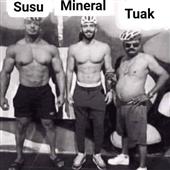 Gi