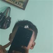 Si