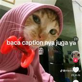 Bữ