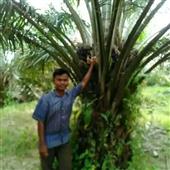 หม