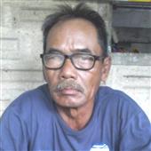 Cừ