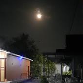 Lị