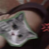Câ