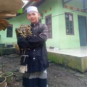 Lễ