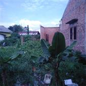 Xú