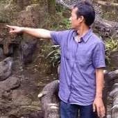 Rắ