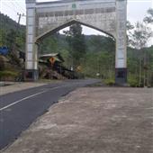 Mạ