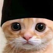 Cừ