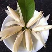 Tỷ