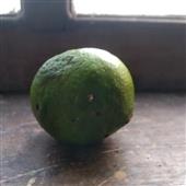 Bà