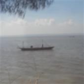 Bữ