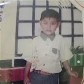 Sự