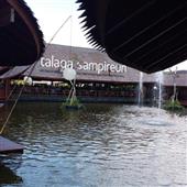 Dự