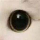 Ma