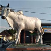 Kè