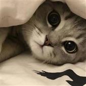 Đạ