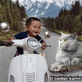 Pl