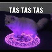 Cá