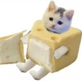 Ma