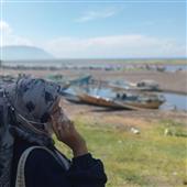 Gi