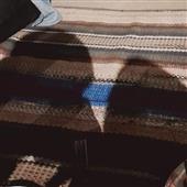Gi