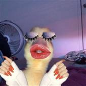 Tr